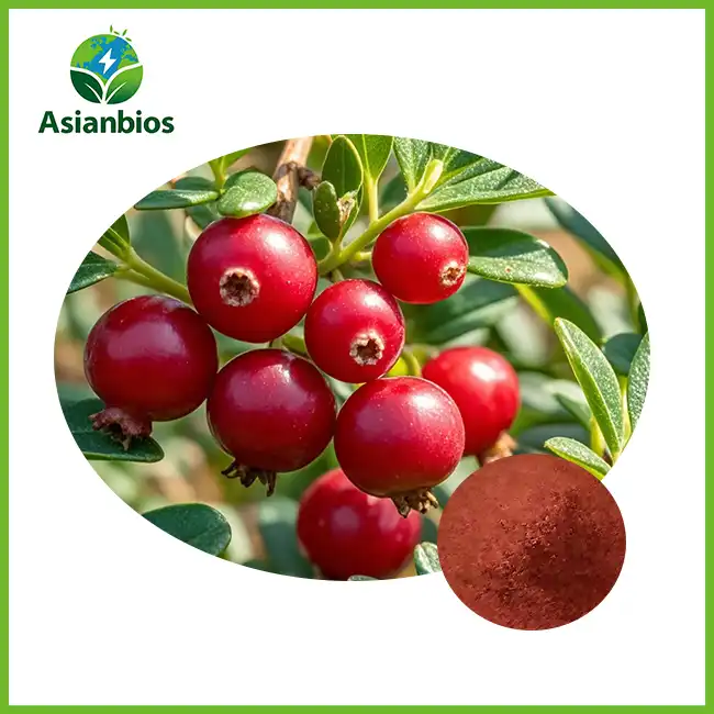 Cranberry Fruit Powder